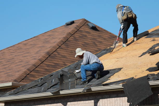 Hot Roofs in Sale Creek, TN