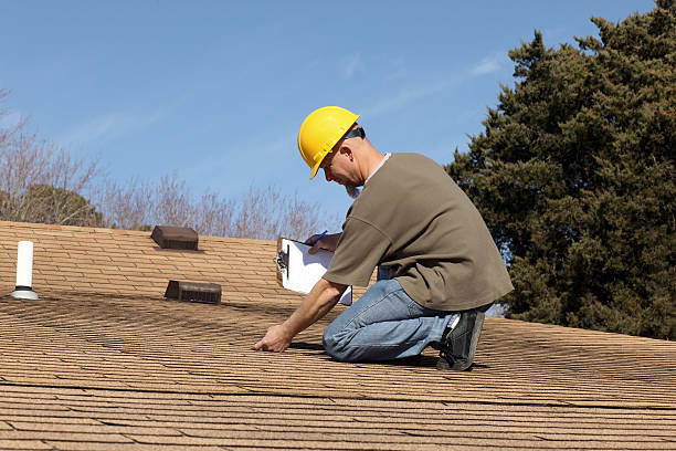 Best Skylight Installation and Repair  in Sale Creek, TN