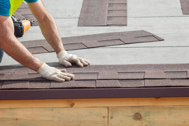 Best Roof Maintenance and Cleaning  in Sale Creek, TN